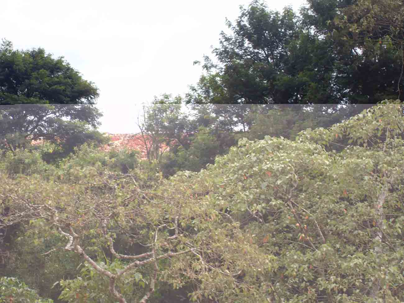 VLUU L100, M100  / Samsung L100, M100