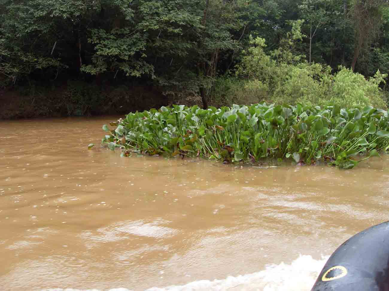 VLUU L100, M100  / Samsung L100, M100