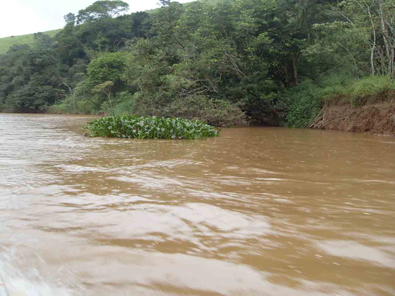 VLUU L100, M100  / Samsung L100, M100