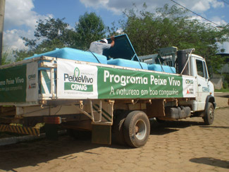 Barqueata – soltura de peixes