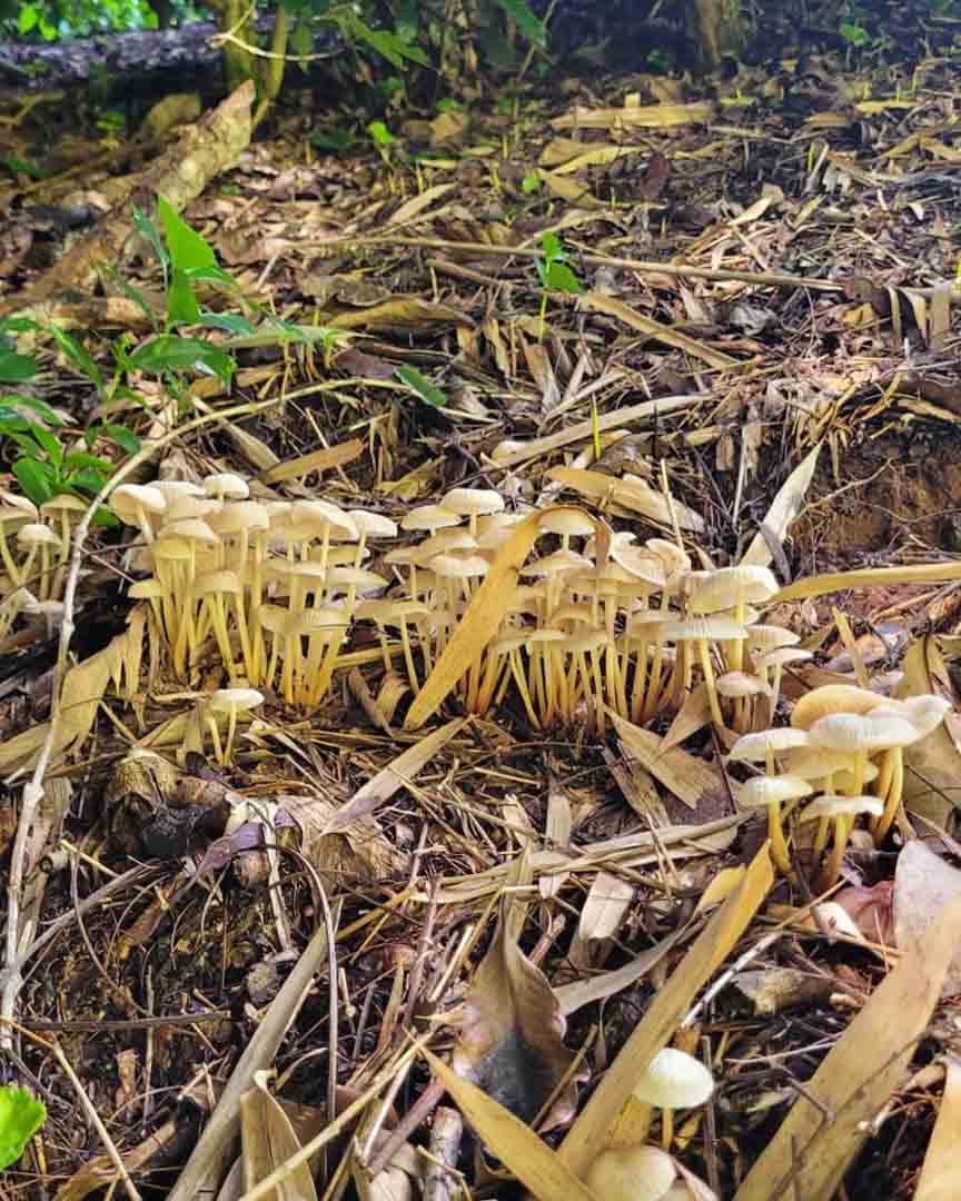 SaveClip.App_490103688_17848989696443803_5159277672063955686_n