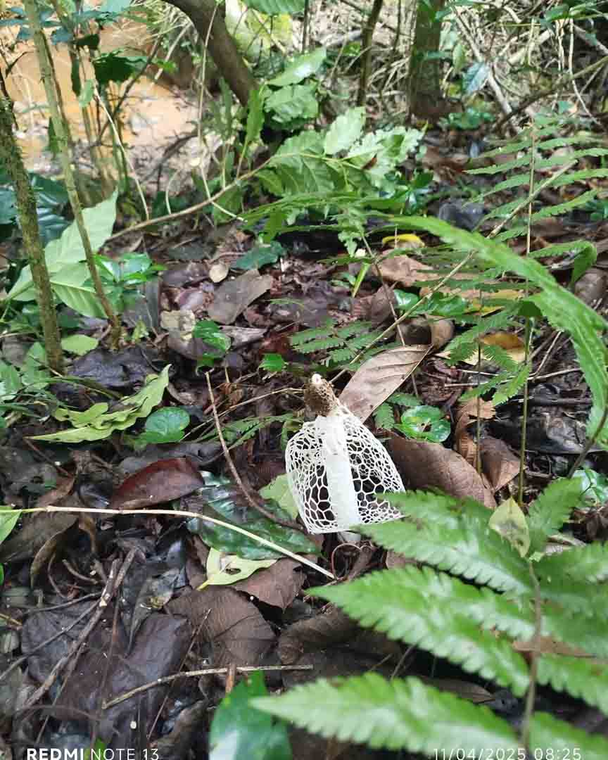 SaveClip.App_490144867_17848989687443803_3198586272557150467_n